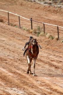 family travel blog Australia outback