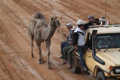 family travel blog Australia outback