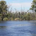 Houseboat on the Murray