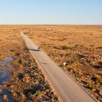 Wednesday Wonderings - 16 Ways for Happy Kids on Long Drives