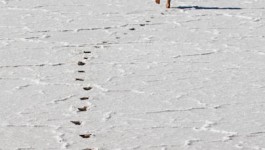 family travel blog Australia outback