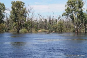 murray houseboat 2