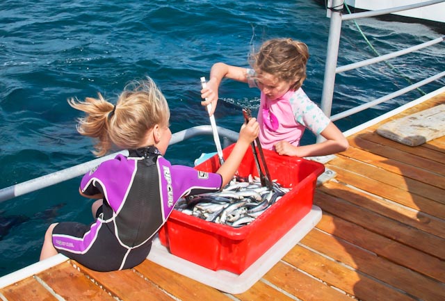 homeschool road school education children kids travel 