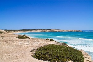 coffin bay 6