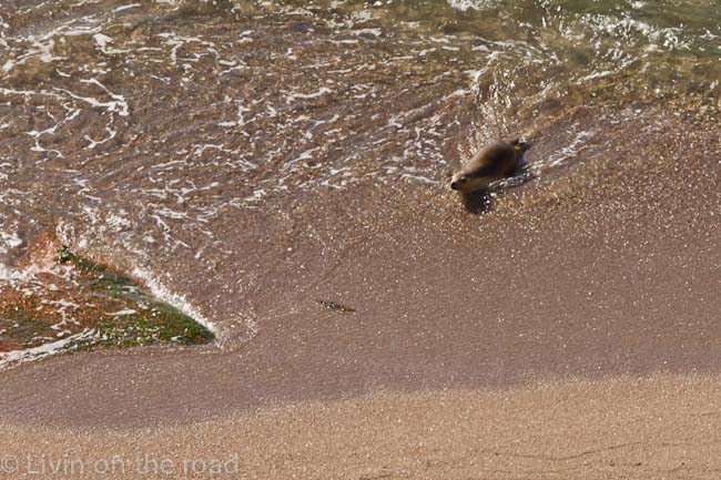 Travel blog Sceale Bay