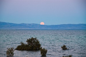 Moonrise at sunset