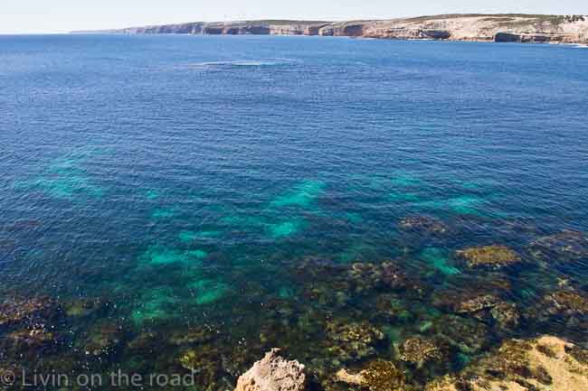 Travel blog Whalers Way