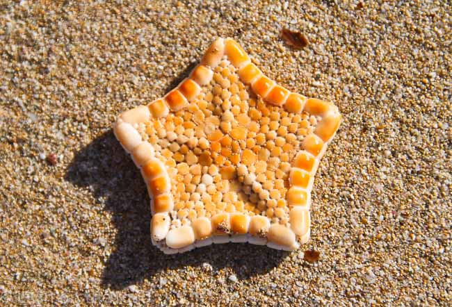 Travel blog at the beach