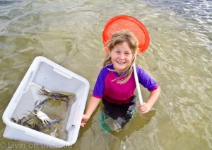 Lucy spent an afternoon crabbing with her Dad.  She had a great time scooping up the crabs in the net, and loved having her father all to herself.  She was less than impressed when she realised that the crabs were going to be cooked up for dinner.