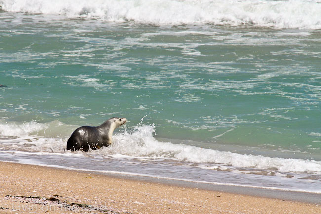 Travel blog at the beach