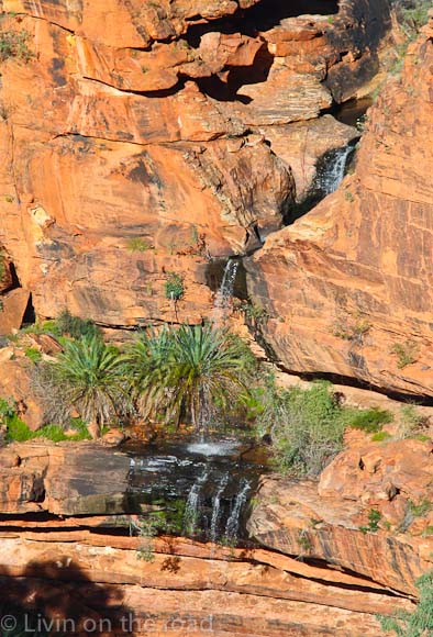 Travel blog Central Australia
