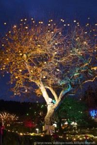 Keryn and Dek explore tide pools in Kona, Big Island
