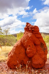 Termite mound